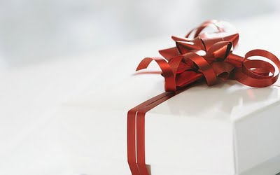 Holiday Gift Ideas 2009