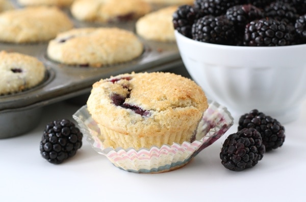 Blackberry muffin recipes