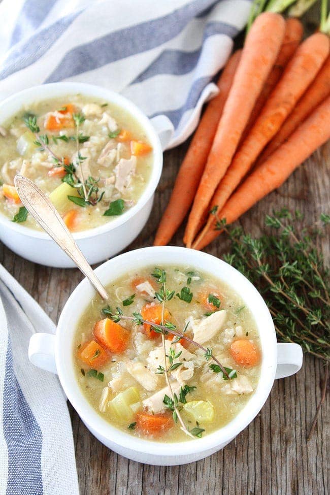 Chicken and Rice Soup - Dinner at the Zoo