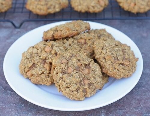 Pumpkin Oatmeal Scotchies Recipe