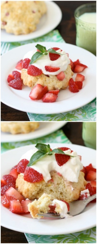 Strawberry Rhubarb Shortcake Recipe 4367