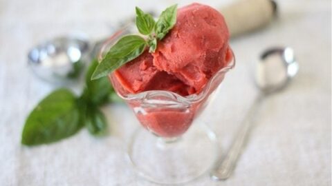 Strawberry Basil Sorbet