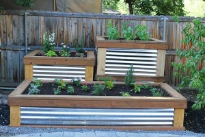 Raised Herb Garden