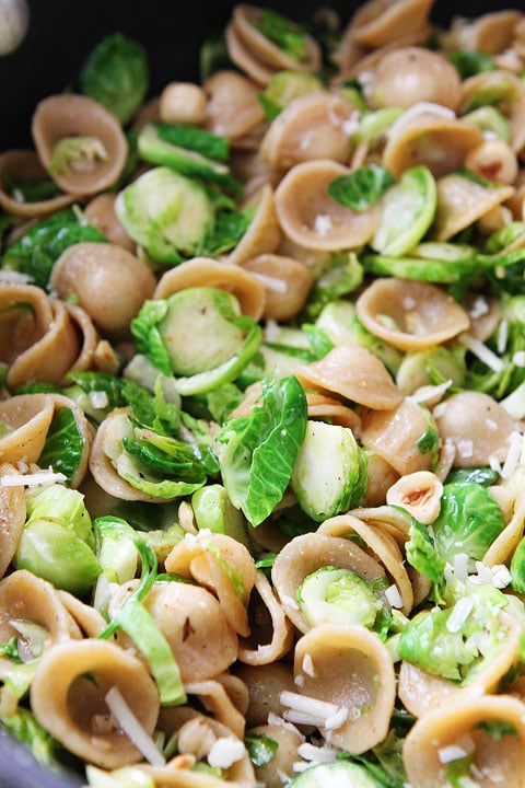 Brown Butter Brussels Sprouts Pasta with Hazelnuts Recipe on twopeasandtheirpod.com #recipe