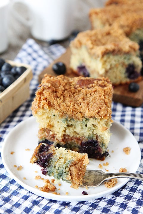 Blueberry Coffee Cake Recipe {Moist}