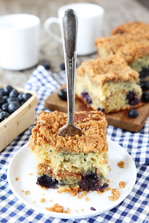 Blueberry Coffee Cake Recipe {Moist}
