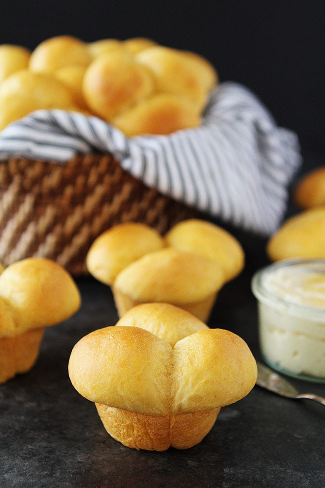 The Best Melt-In-Your-Mouth Sweet Potato Rolls • Cultured Guru