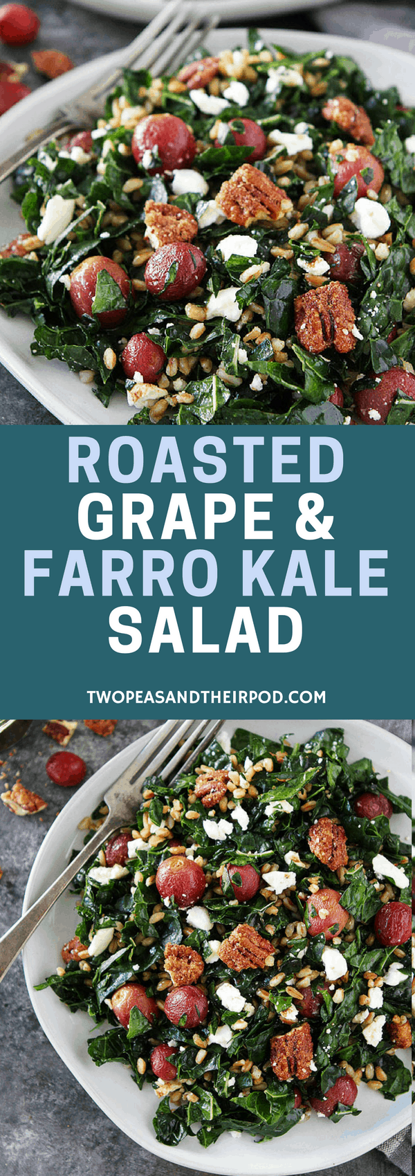 Roasted Grape and Farro Kale Salad with candied pecans, feta cheese, and balsamic dressing is a great salad for lunch or dinner! #salad #vegetarian #farro #kale #kalesalad 
