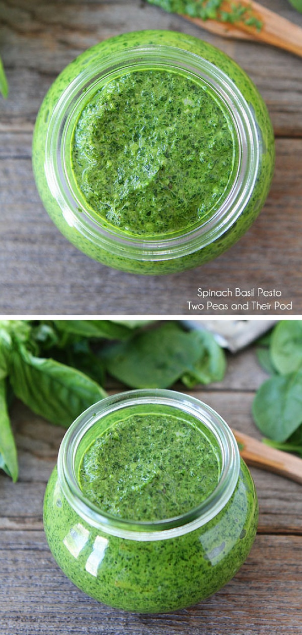 This nut-free spinach basil pesto is bright green and full of flavor! It is great with pasta, veggies, chicken, fish, or as a spread on sandwiches. Visit twopeasandtheirpod.com for more simple, fresh, and family friendly meals. #familyfreshmeals #familyfriendlymeals