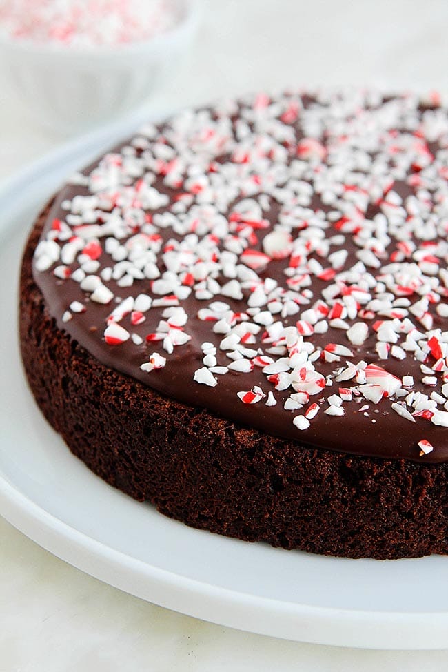 Peppermint Flourless Chocolate Cake