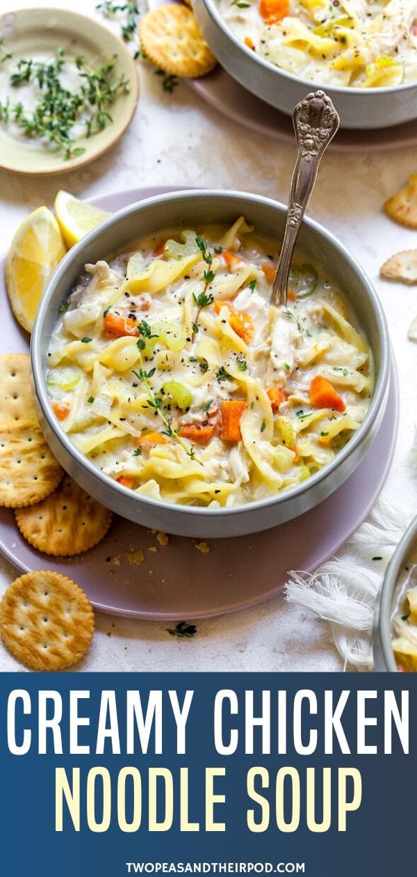 Creamy Chicken Noodle Soup - Two Peas & Their Pod