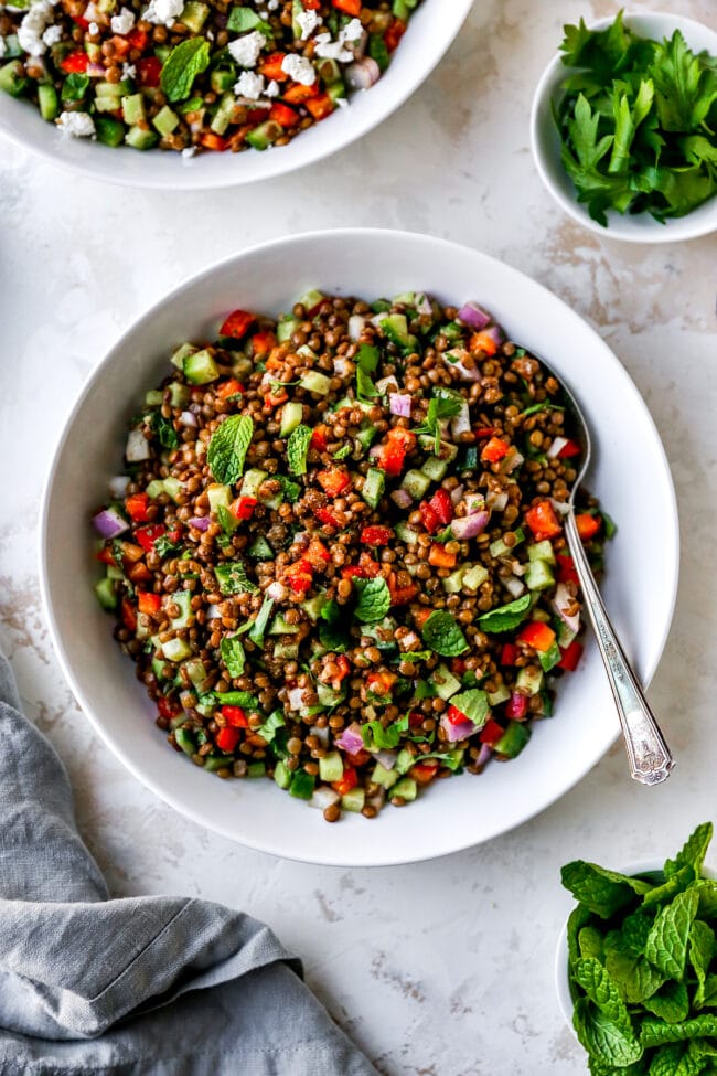 Lentil Salad {Easy & Healthy} - Two Peas & Their Pod