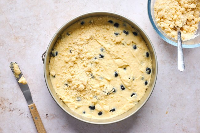 lemon blueberry ricotta cake with streusel topping in pan.