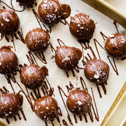 Peanut Butter Protein Balls - 9 Grams Protein Each!