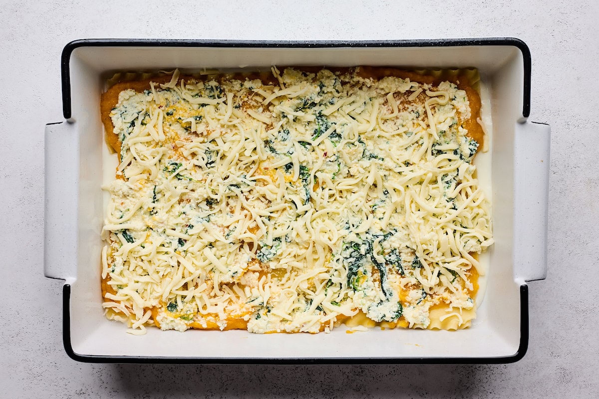 lasagna noodles, butternut squash puree, bechamel sauce, spinach ricotta mixture, and mozzarella cheese being layered in pan to make butternut squash lasagna.